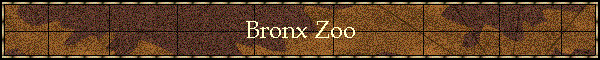 Bronx Zoo