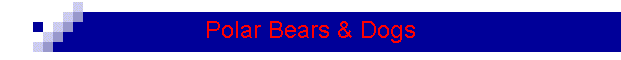 Polar Bears & Dogs